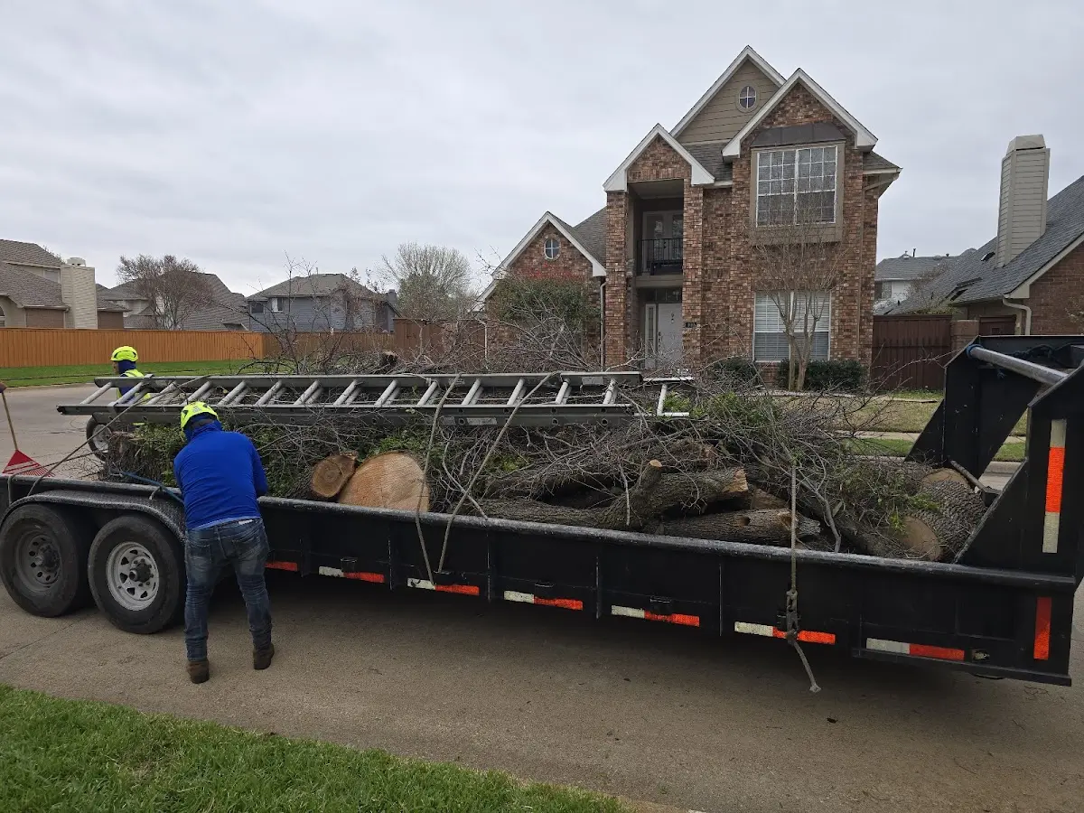 Expert Lot Clearing with proper safety equipment in Haxtun